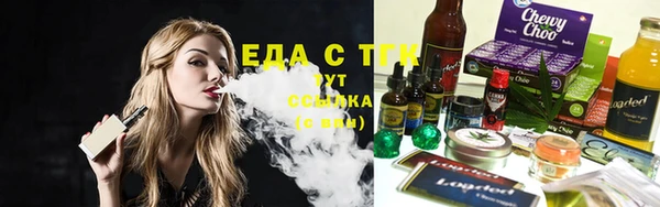 стаф Аркадак