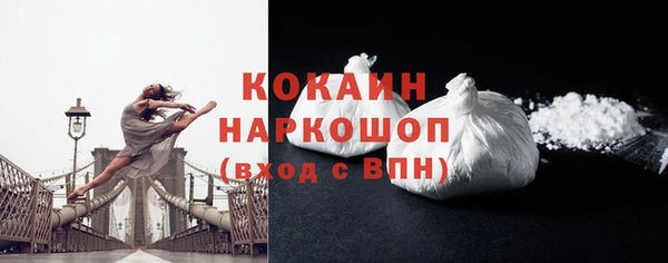 стаф Аркадак