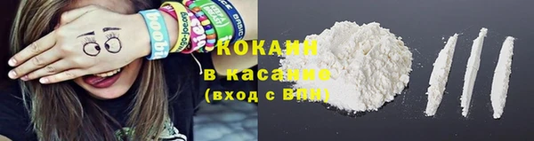 стаф Аркадак