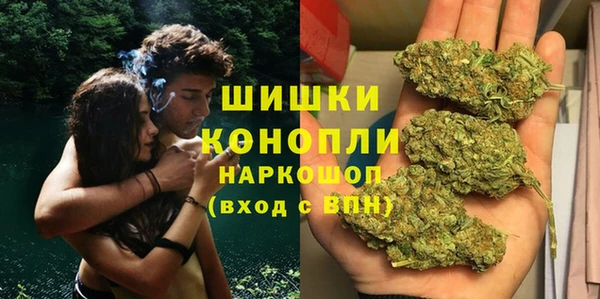 стаф Аркадак