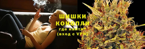 стаф Аркадак