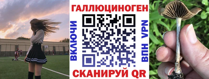 Псилоцибиновые грибы Psilocybine cubensis  где купить   Муравленко 